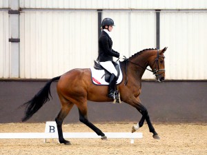 BEF Futurity Equine Bridge viewing day