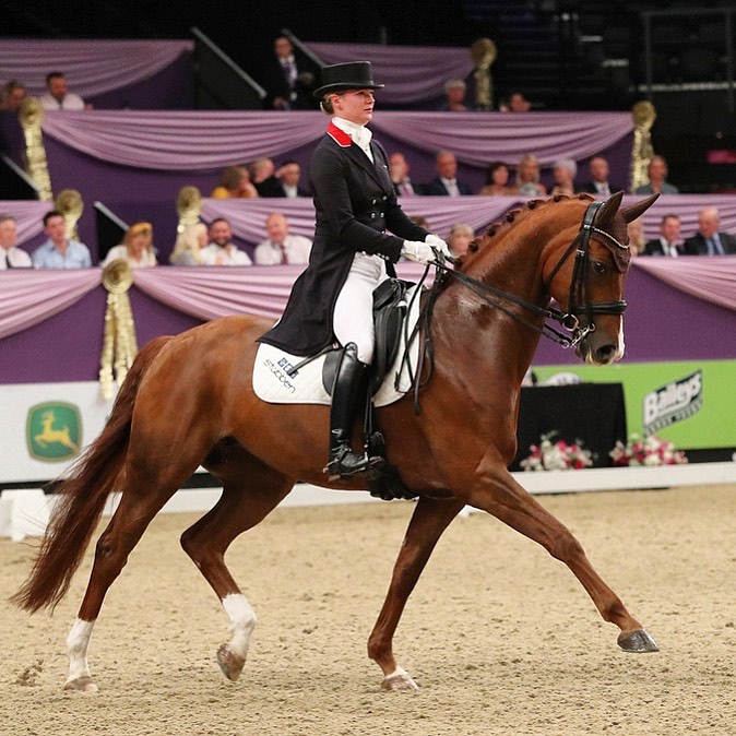 Horse of the Year Show Future Elite Championship 2019