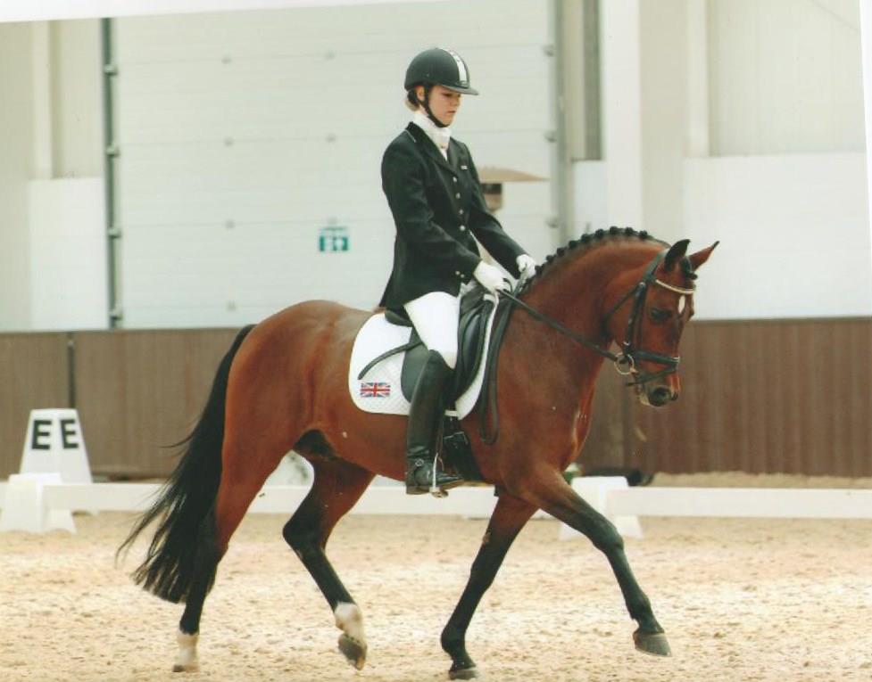 Addington CDI 2007