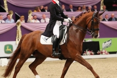 Horse of the Year Show Future Elite Championship 2019