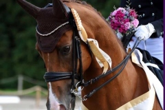 Prix St Georges Regional Champion 2019