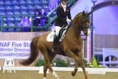 Winter Championships 2019