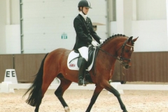 Addington CDI 2007