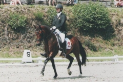 Pony European Championships 2007