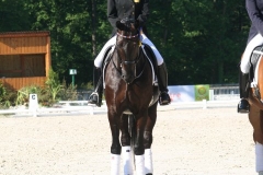 Compiègne CDIY 2010